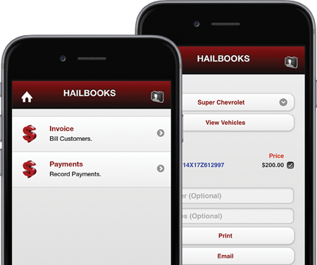 Hailbooks Accounting Screens