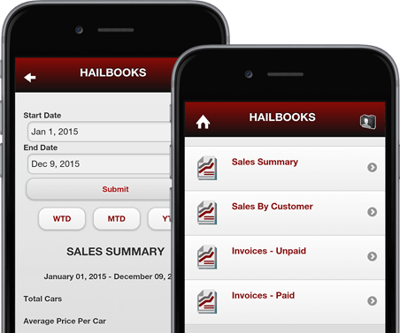 Hailbooks Business Reports Screens